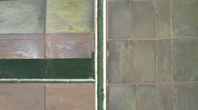 应城市天鹅镇全力推进高标准农田建设