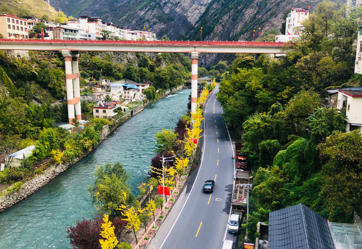 美!理县杂谷脑河畔金黄银杏惹人醉