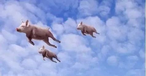 原创|不是所有的猪都能被风吹上天,所谓的成功,就是你比别人跨过更多