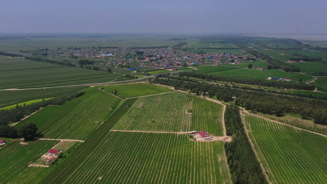 【落实突破年 奋进正当时】太平川镇:发扬特色农业品牌 突破农业高