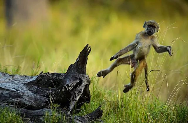 全球摄影大赛优秀作品欣赏