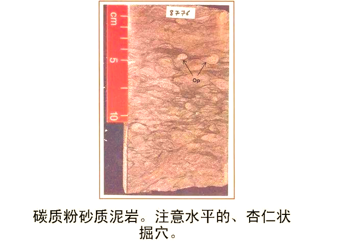 岩心照片背后的故事:揭示地球秘密