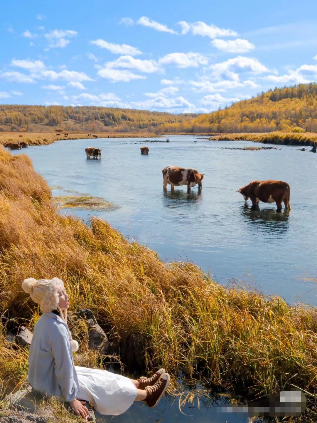 阿尔山景点介绍,总有一处美丽的景色属于你,还不快来观赏