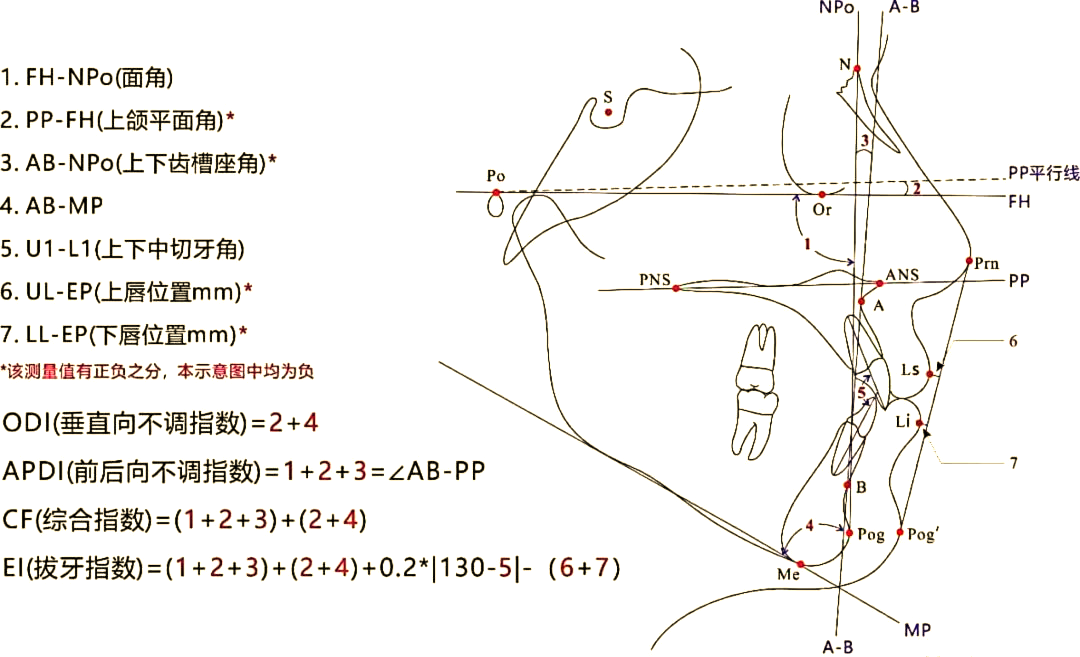 正畸前的秘密:头影测量为何如此重要