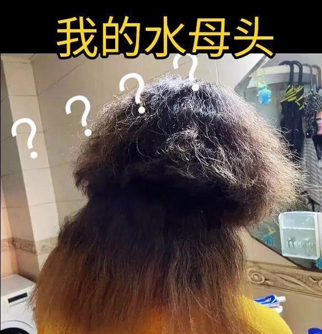 跟风剪的水母头大翻车了