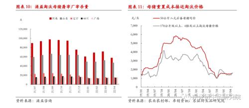 【热点报告——生猪】博弈持续，静观其变