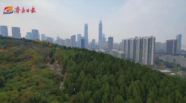 隐藏在济南市区的这座森林公园,此时漫山斑斓,景美还免费!