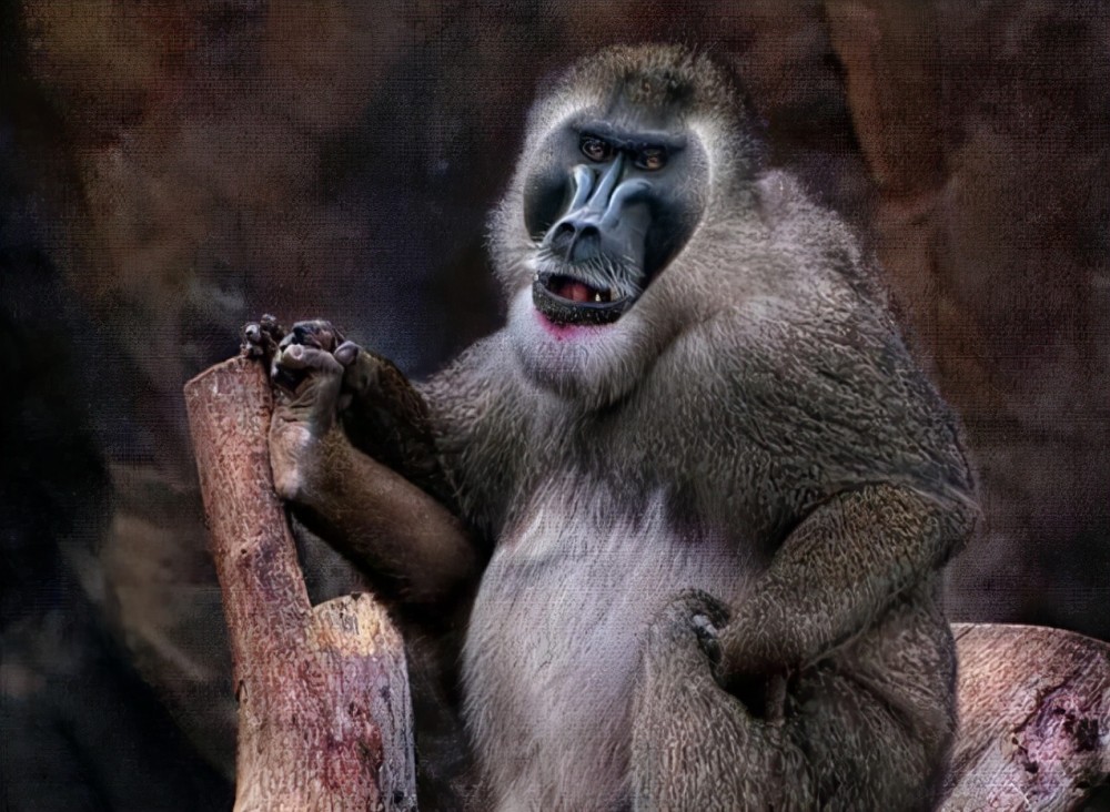 科学家:人类理论上能活1000岁,那剩下的900岁为何无故消失了?