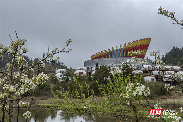 小沙江花瑶游览景点图片