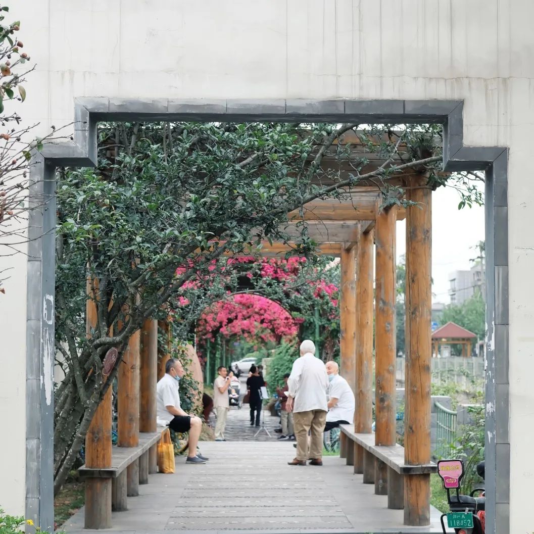 "没有任何历史"的少陵路