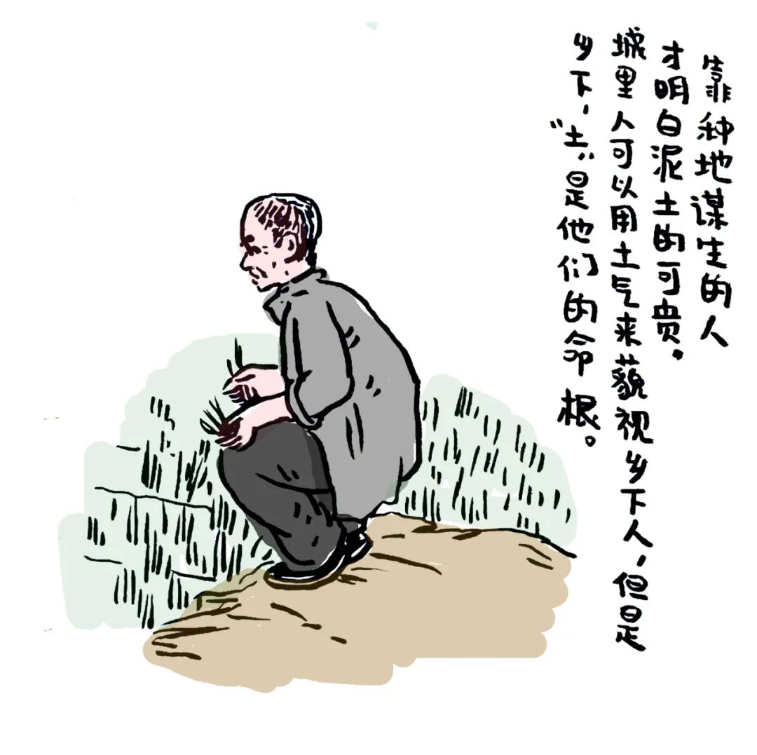 漫画解读《乡土中国》第一章:乡土本色