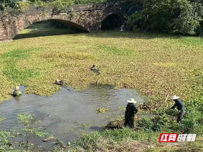 鼎城灌溪:河长治水水长清