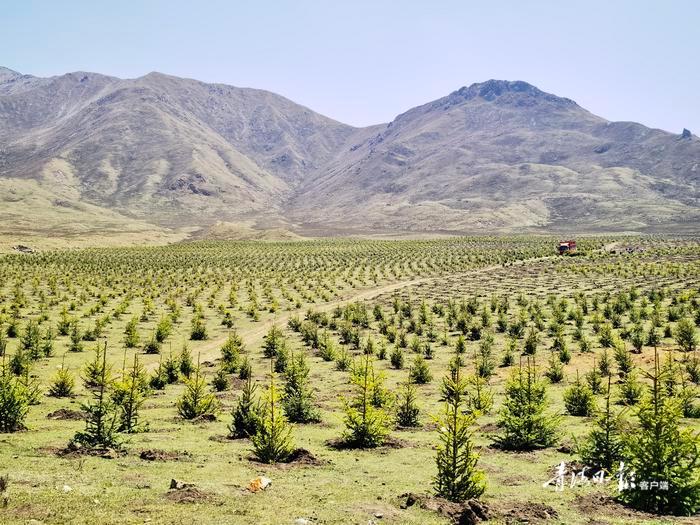 荒山秃岭图片