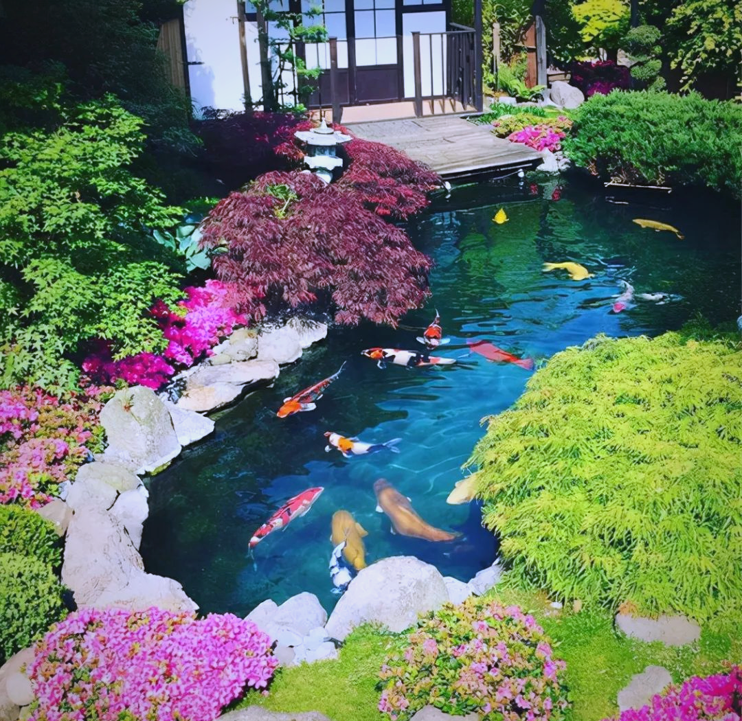众多庭院鱼池设计案例,值得一试