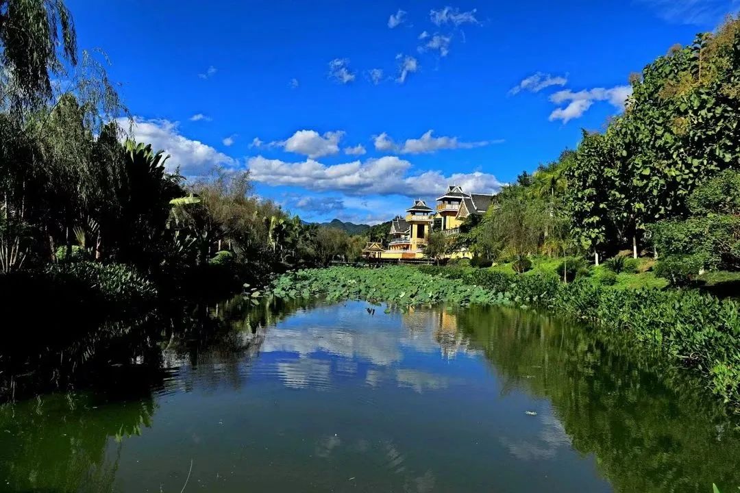 绿美孟连孟连湿地公园新变化