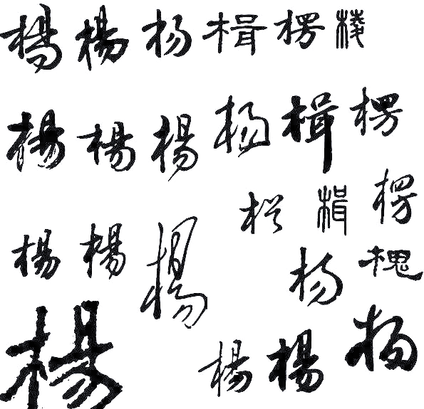 杨字的多种写法,杨家人值得收藏!