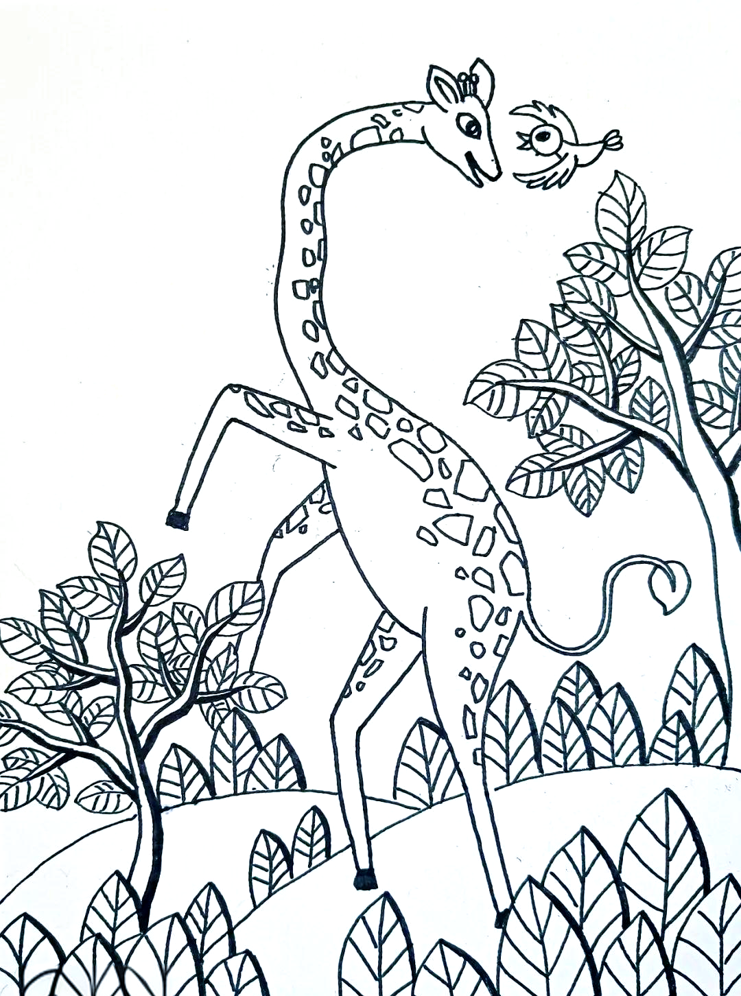 长颈鹿的优雅舞蹈