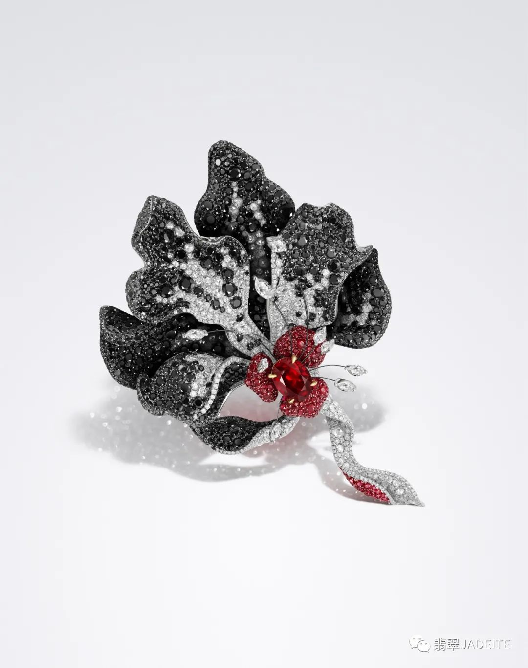 郑莎:以灵动珠宝,彰显柔美力量