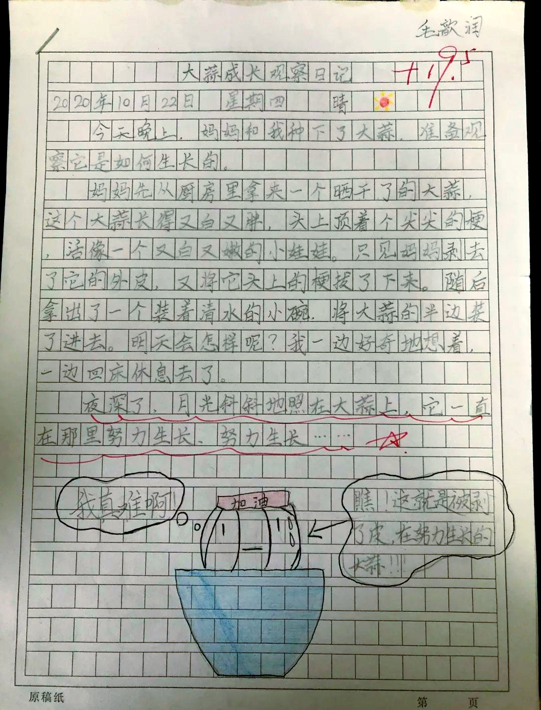 观察日记400字种大蒜(观察日记种大蒜四年级500)