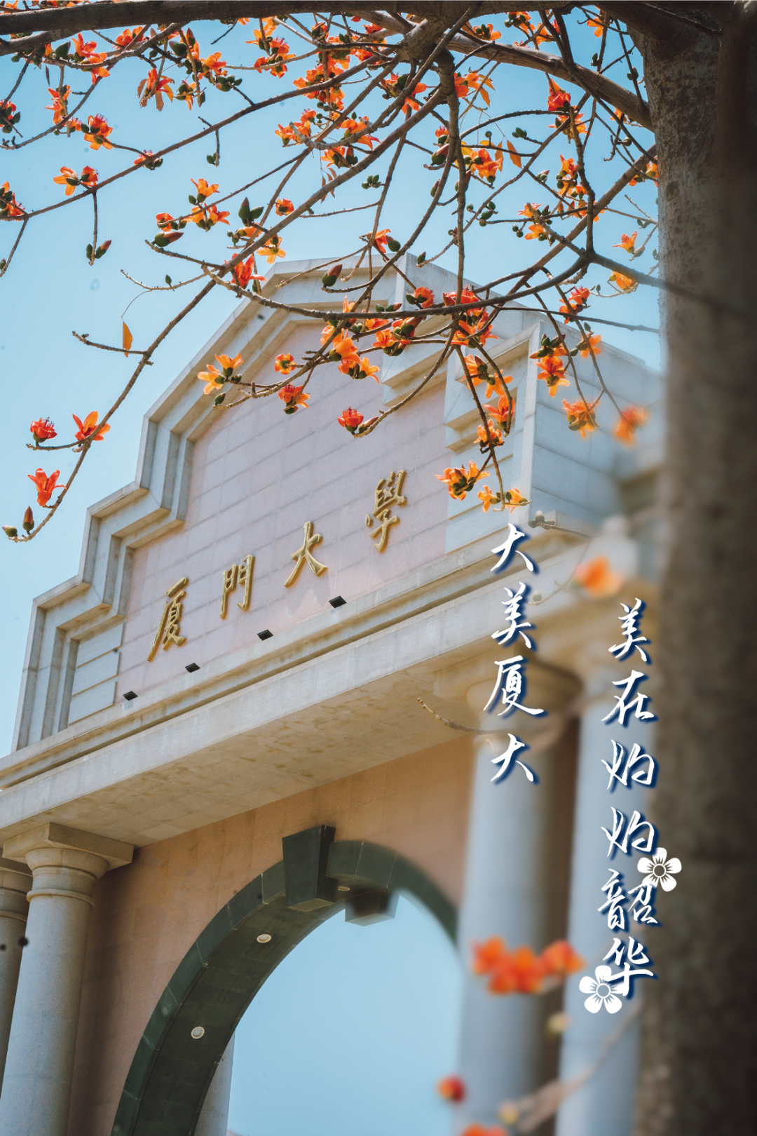 在"浙"里,美一"厦"|大美校园·自然之美①