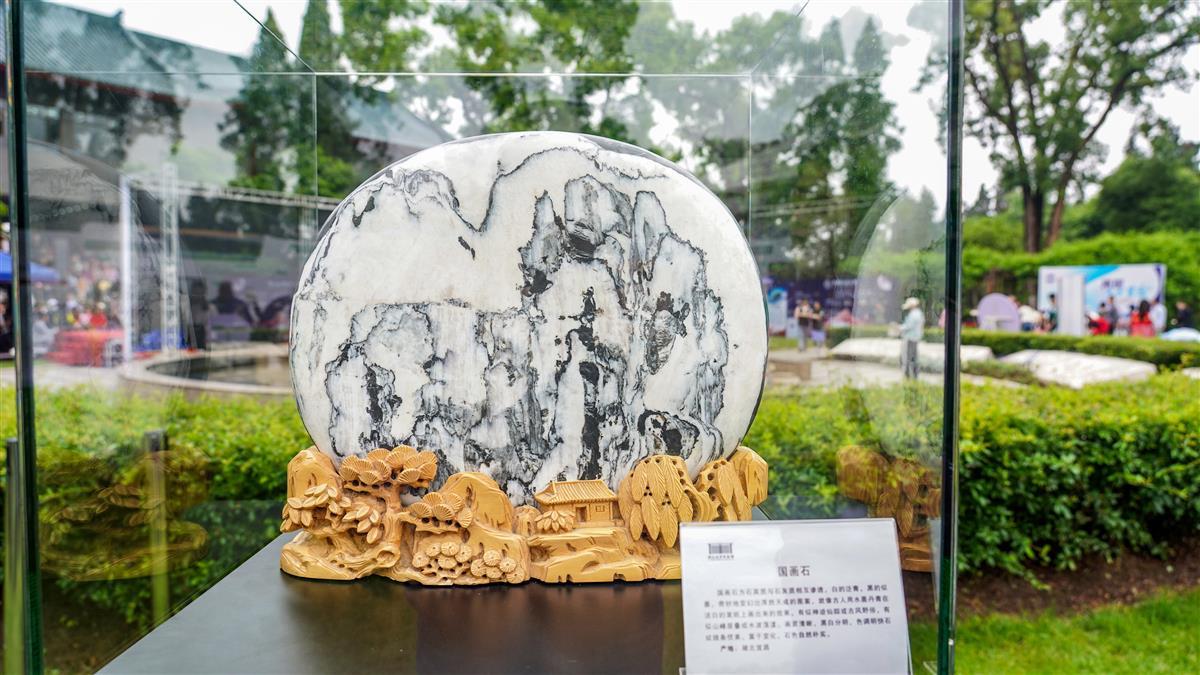 �����������ʯ�걾��80��������������࣬��һ�������人ֲ��԰׷�����֮�⡱