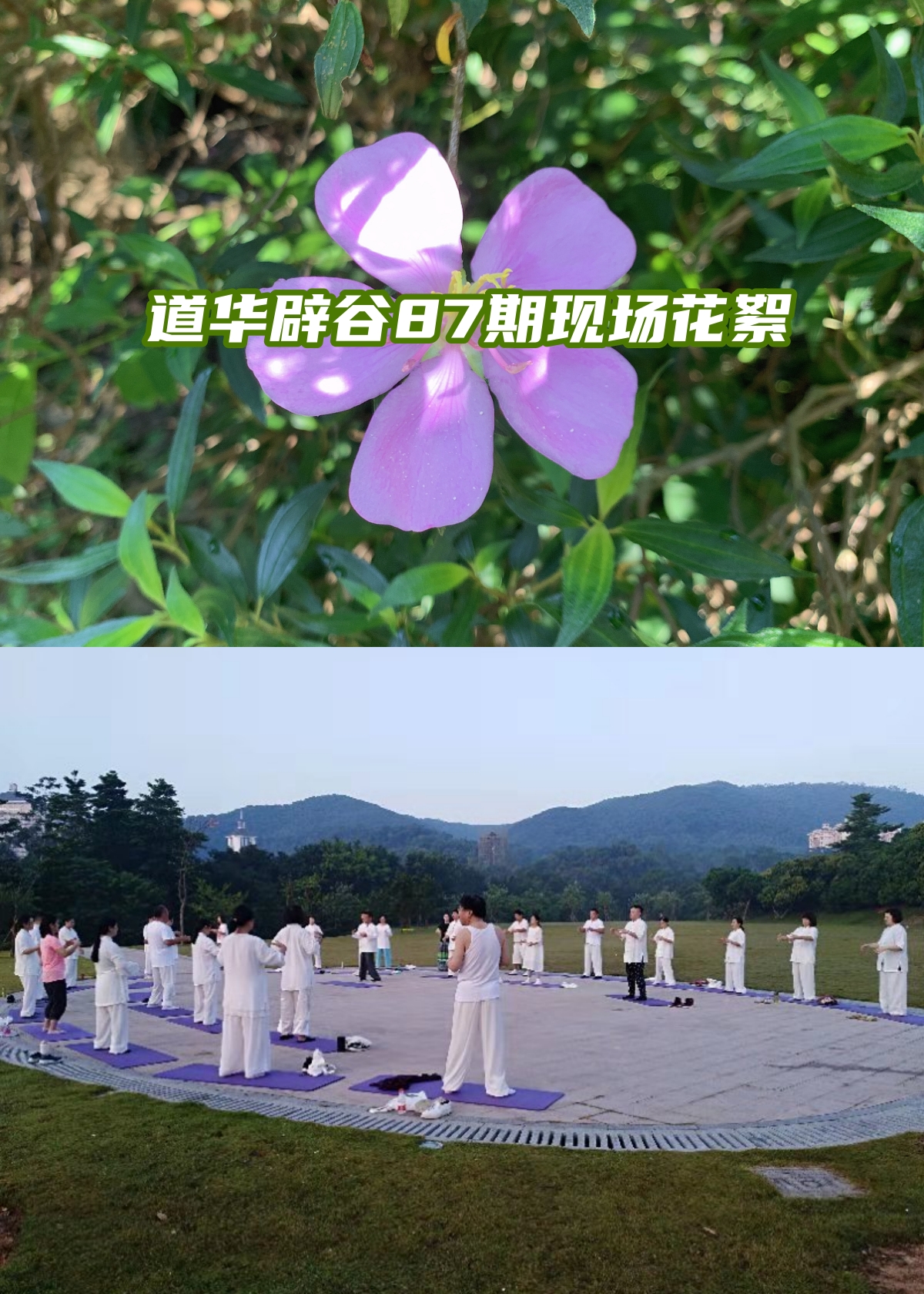 汉中沧州鄂尔七天水喝光我的辟谷之旅真实感受