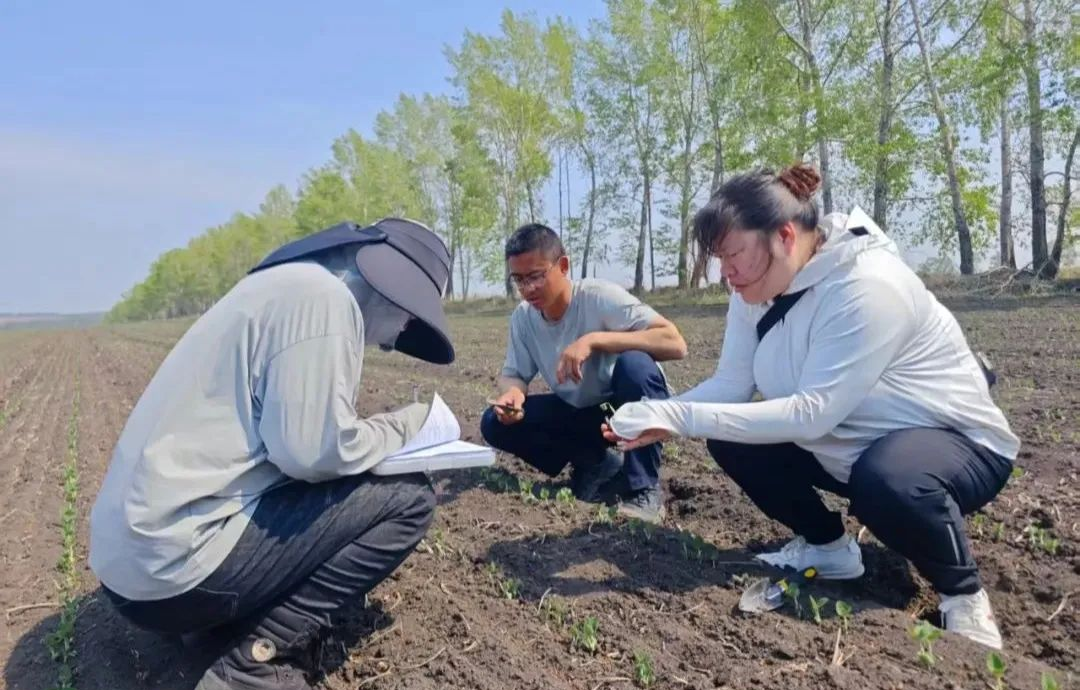科技引领大西江农场迈向农业现代化新时代