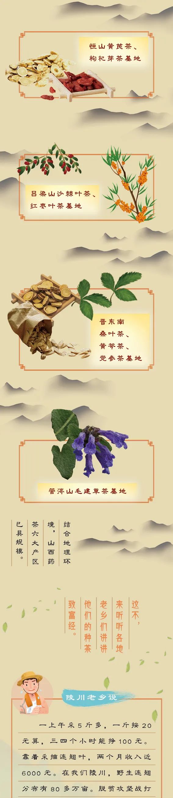 2020致富经(2020致富经视频)