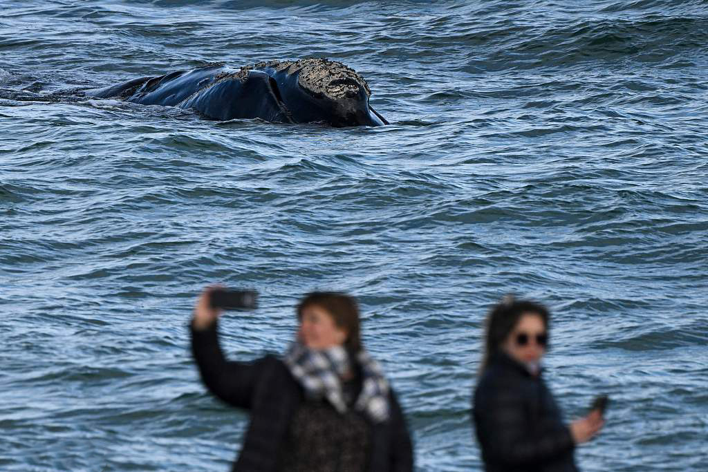早安·世界|飓风"朱丽叶"已在委内瑞拉造成22人死亡