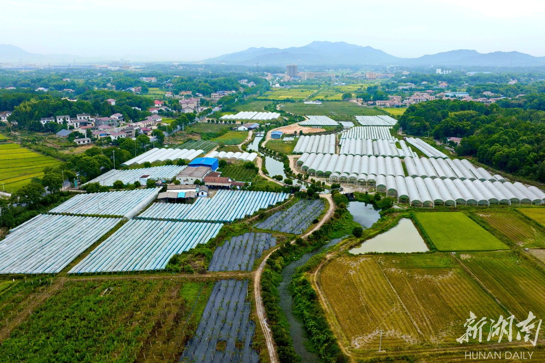 青山铺镇:文旅东风起 青山别样红