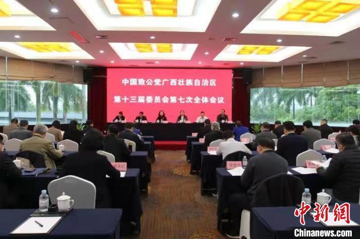 致公党广西区委将加强海外联络 为新侨创业牵线搭桥