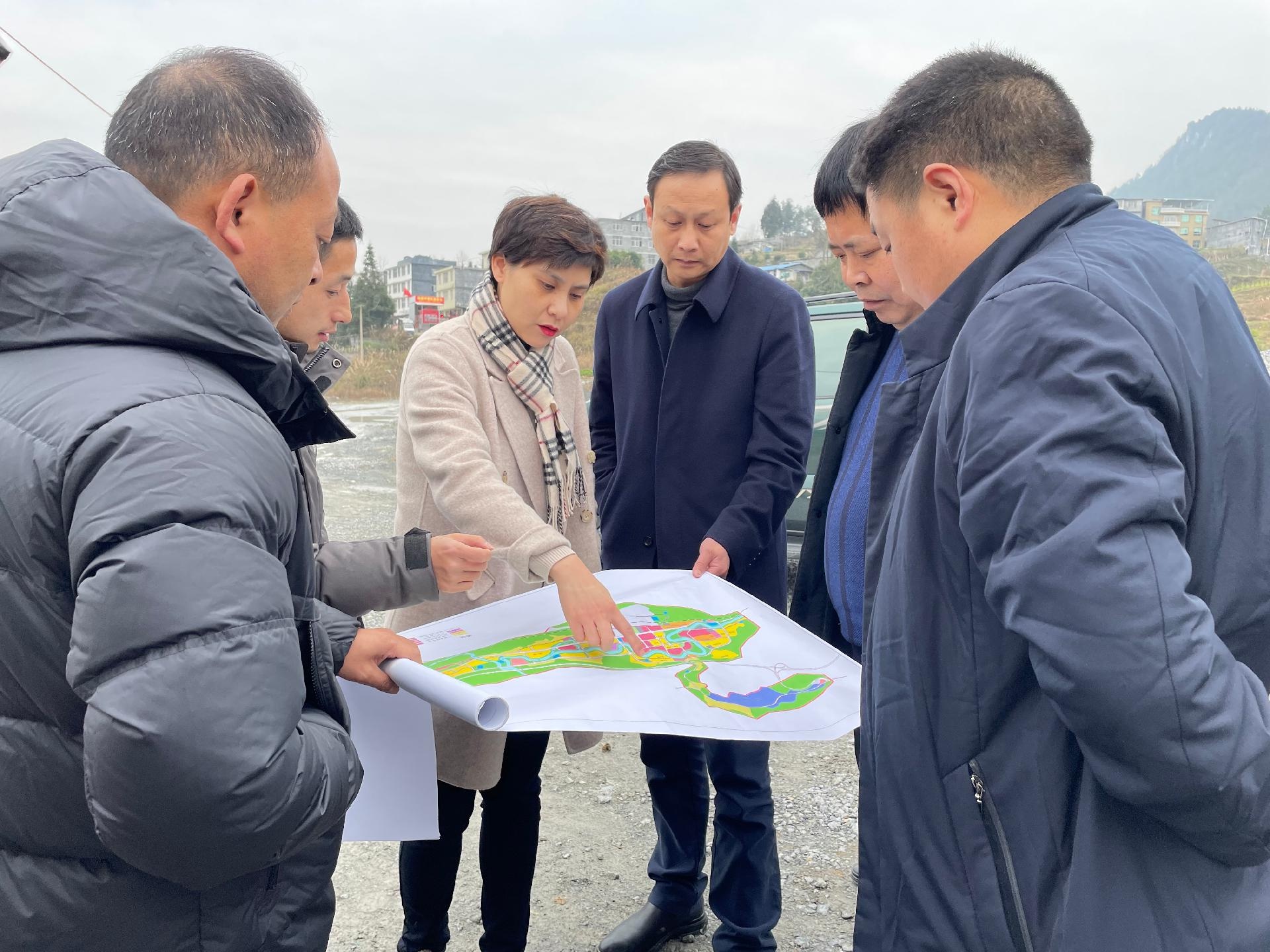 郭玲在咸丰新城片区调研时强调:优化城市新格局,激活发展新动能,建设