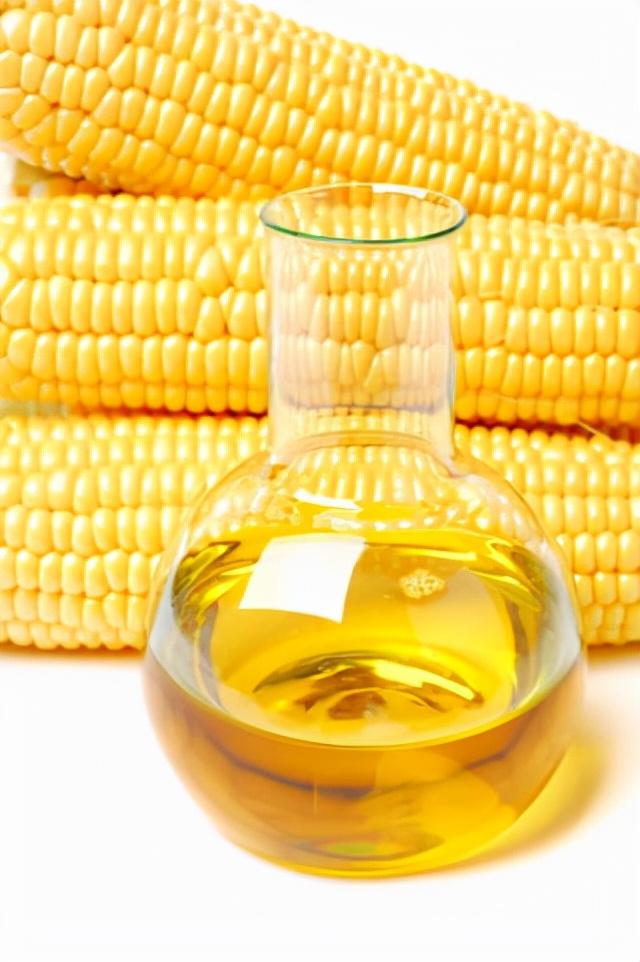 为什么高油玉米比传统玉米更容易被猪消化?