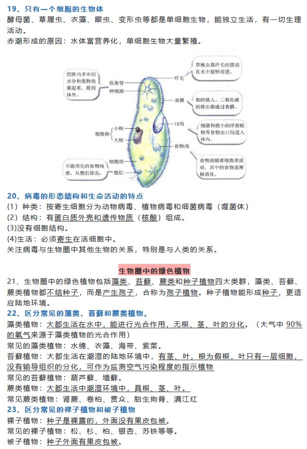 初中生物知識點總結歸納,完整版筆記整理!