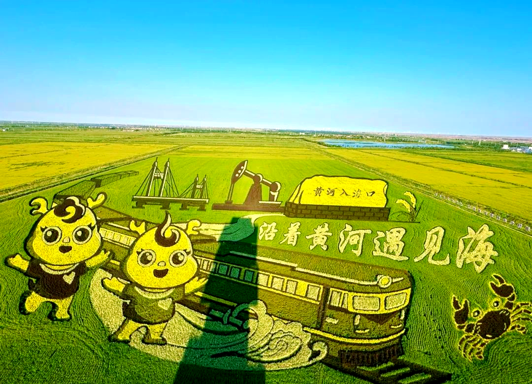 裸眼3d稻田画:体验东营的震撼与辉煌