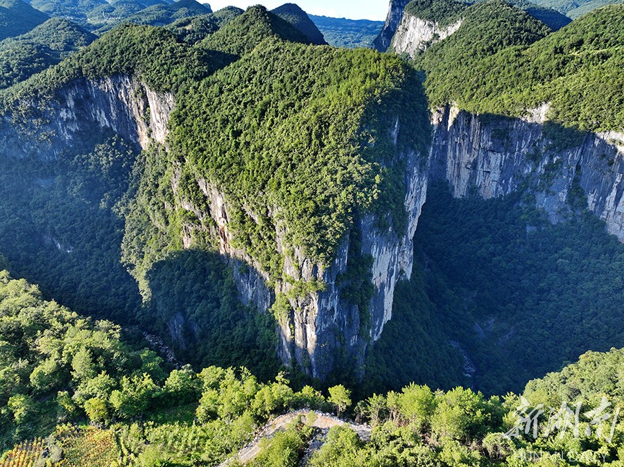 桑植景点图片