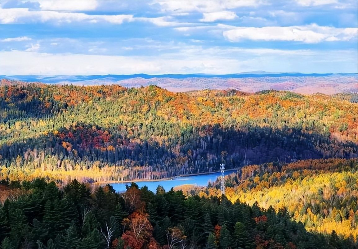 伊春私藏了小兴安岭最美的秋