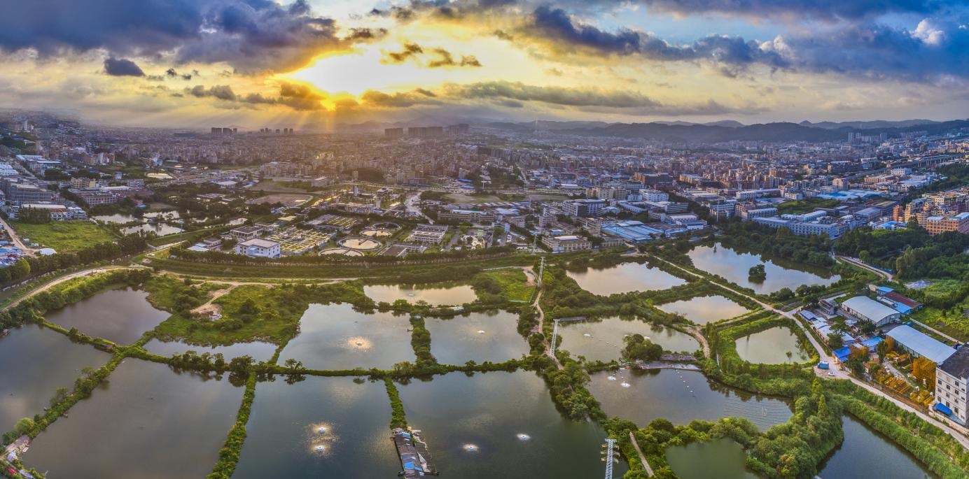 水清岸绿幸福来!广州龙归街持续源头治污见成效