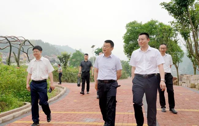 姚轶到镇远县调研督导和美城乡"四大行动"工作