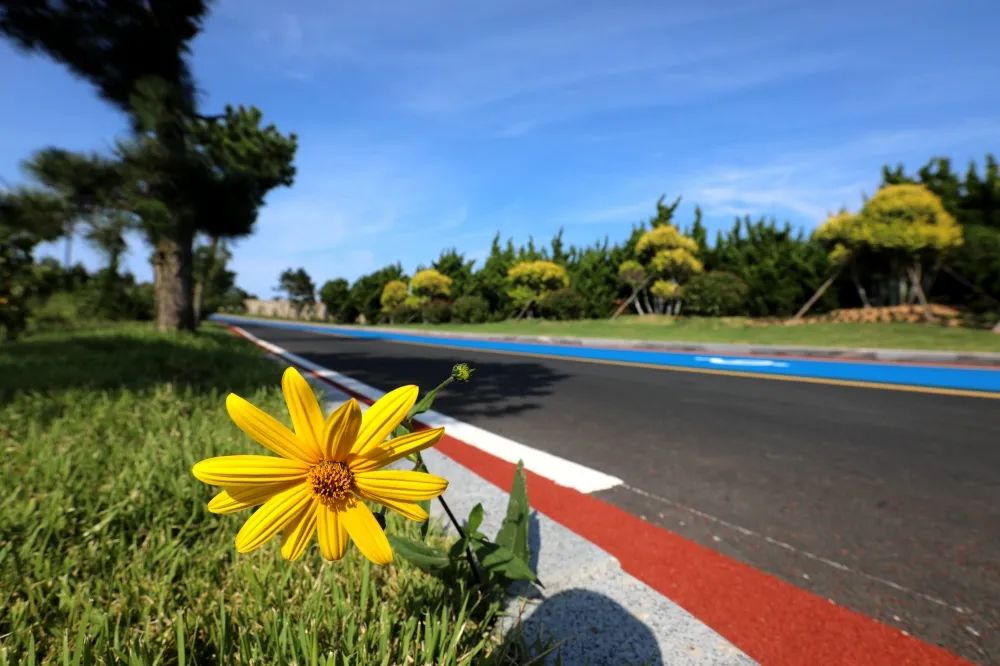 荣成这条公路,会唱歌!