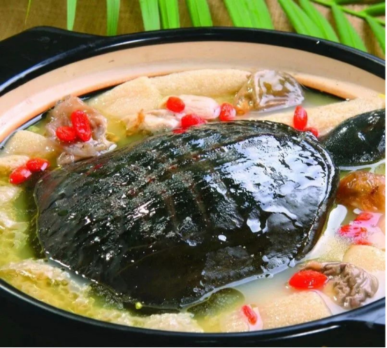 桃花盛开吃甲鱼最好的季节来了老饕们有一个秘密