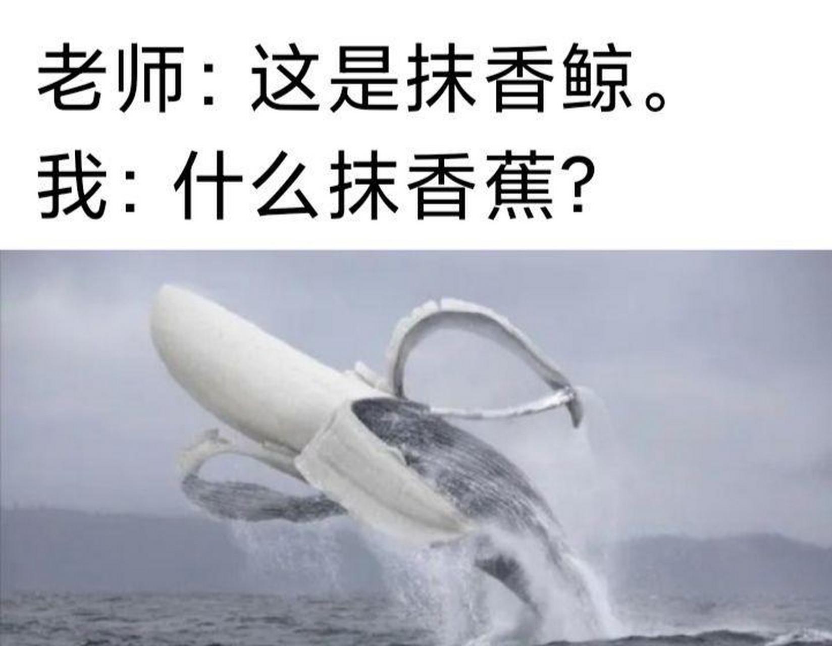 为什么跟黑人同居后嫁不出去百科在线 为什么跟黑人同居后嫁不出去百科在线