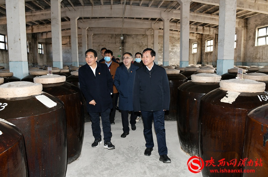 樊存弟赴白水县督导调研稳增长,重大风险防范化解等工作(组图)