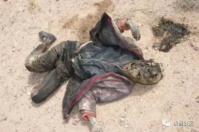 抬尸人 第001集 尸睁眼