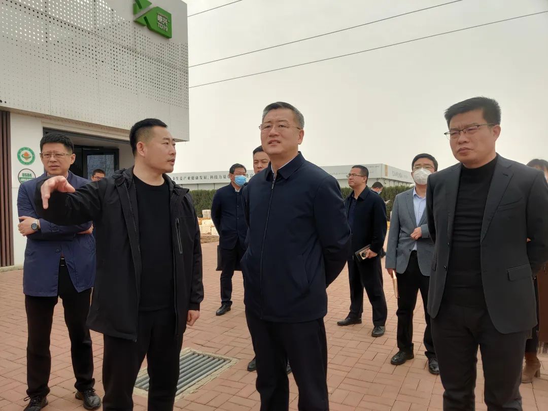 张龙江调研我区部分重点项目