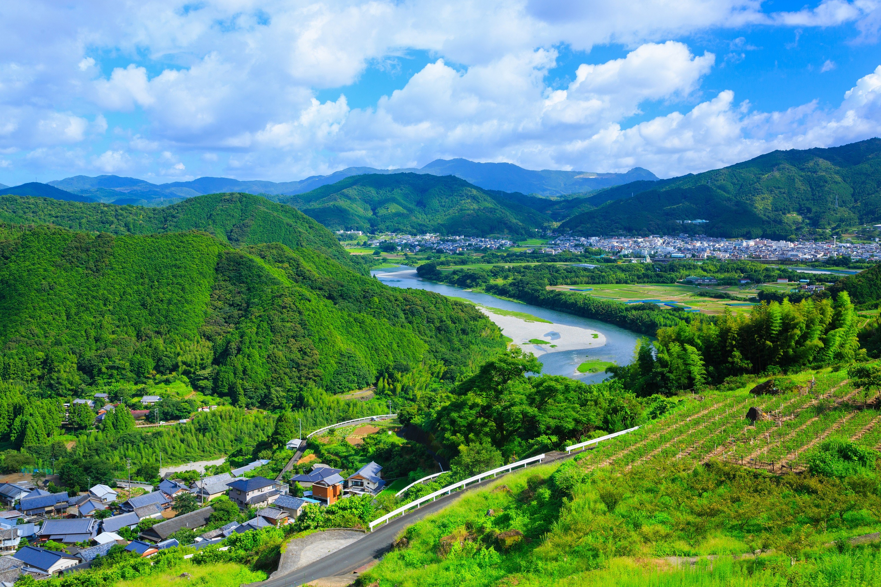 现代农村景象图片