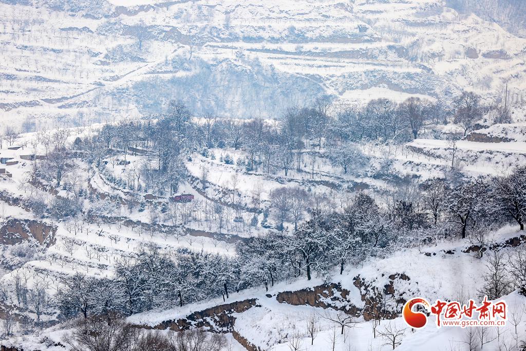 甘肃农村雪景图片图片