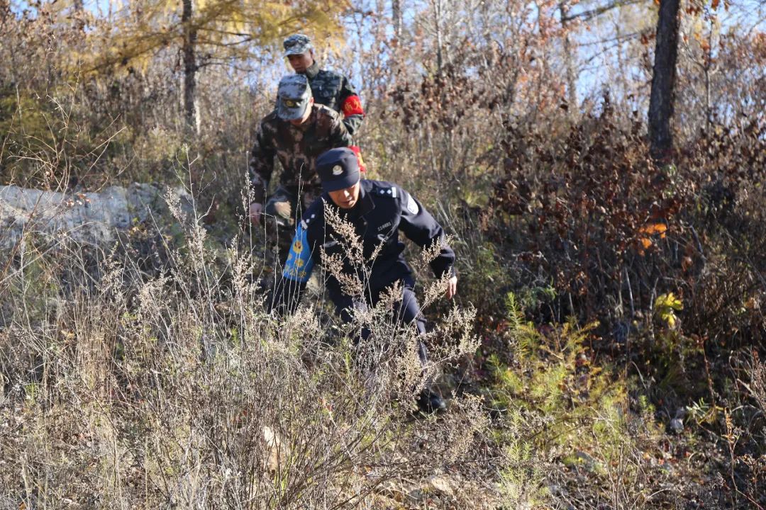 大山深处里的守林人——记伊春森林公安局五营分局驻林场民警王宪全