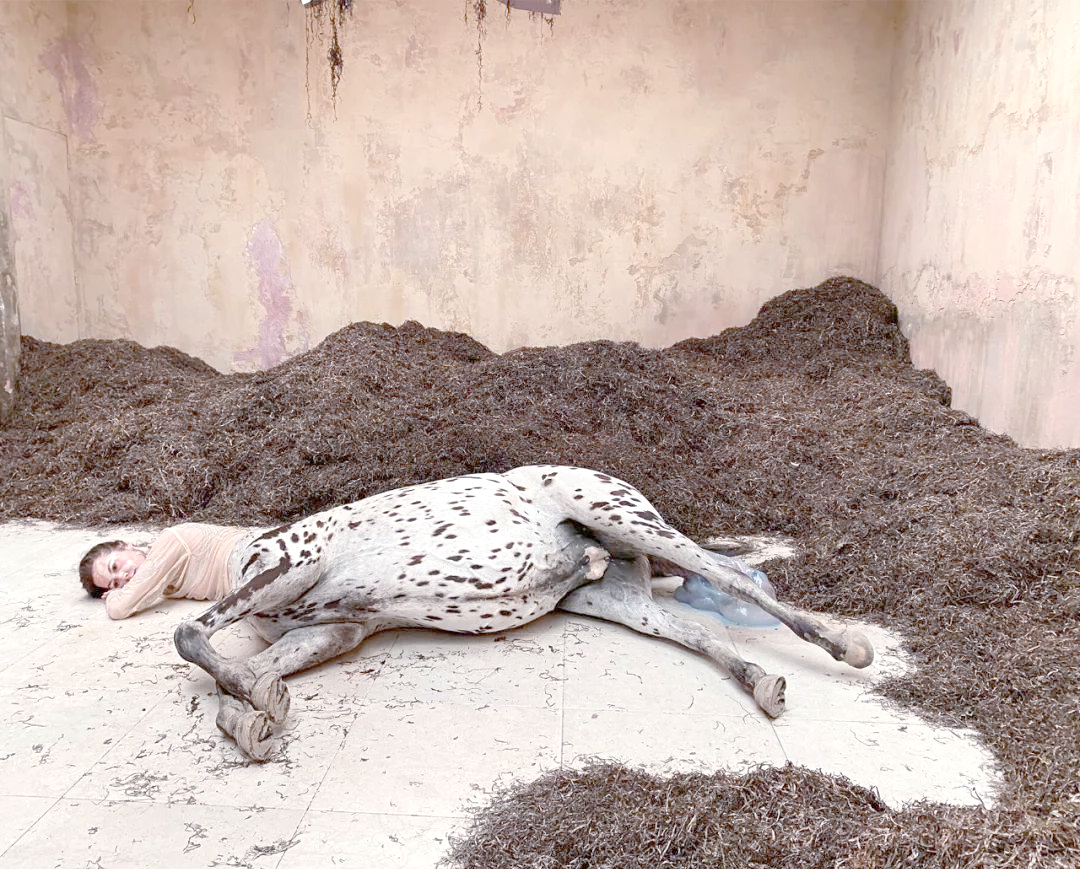 半人马雕塑的生与死:艺术装置带来恐怖与荒诞体验