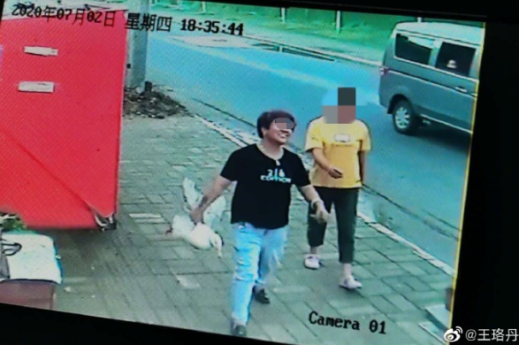 王珞丹同事丢失的宠物鸭已被"吃"了,偷鸭子的人找到了